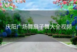 庆阳广场舞扇子舞大全视频