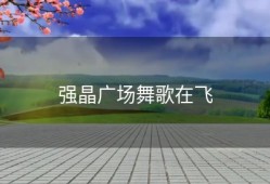 强晶广场舞歌在飞