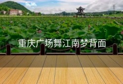 重庆广场舞江南梦背面