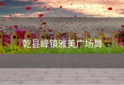 乾县峰镇雅美广场舞