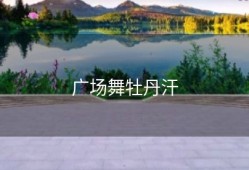广场舞牡丹汗