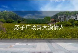 応子广场舞大漠情人