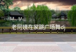 老阿姨在家跳广场舞dj