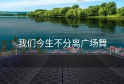 我们今生不分离广场舞