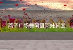 燕子广场舞阿哥阿妹背面