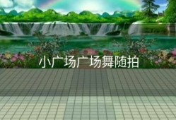 小广场广场舞随拍
