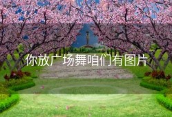 你放广场舞咱们有图片