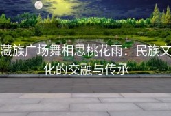 藏族广场舞相思桃花雨：民族文化的交融与传承