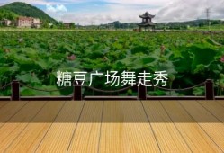 糖豆广场舞走秀