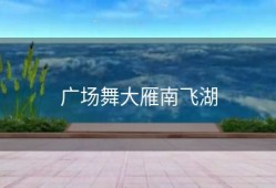 广场舞大雁南飞湖
