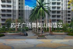 応子广场舞梨山痴情花