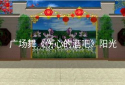 广场舞《伤心的酒吧》阳光