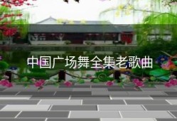 中国广场舞全集老歌曲