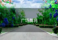 广场舞将