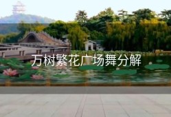 万树繁花广场舞分解