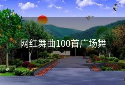 网红舞曲100首广场舞