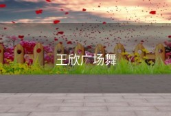 王欣广场舞