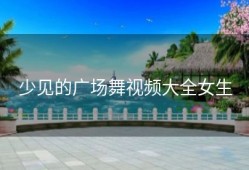 少见的广场舞视频大全女生