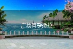 广场舞杂撒拉