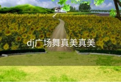 dj广场舞真美真美