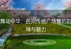 舞动中华：民间传统广场舞的韵味与魅力