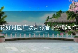 花好月圆广场舞张春丽分解动作