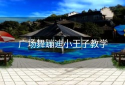 广场舞蹦迪小王子教学