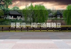 哥要闯一闯广场舞糖豆