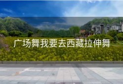 广场舞我要去西藏拉伸舞