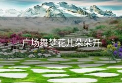 广场舞梦花儿朵朵开