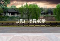 白狐广场舞48步