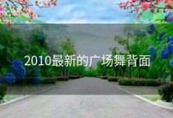 2010最新的广场舞背面