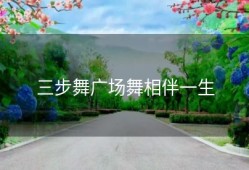 三步舞广场舞相伴一生