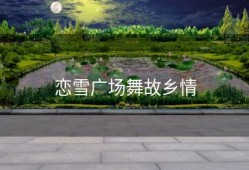 恋雪广场舞故乡情