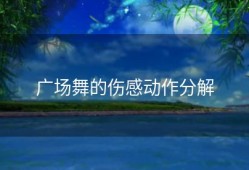 广场舞的伤感动作分解