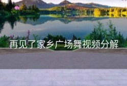 再见了家乡广场舞视频分解