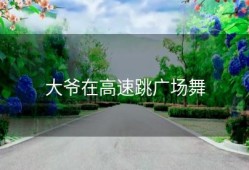 大爷在高速跳广场舞