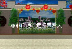 菲菲广场舞走路带着风