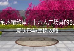 纳木错韵律：十六人广场舞的创意队形与变换攻略