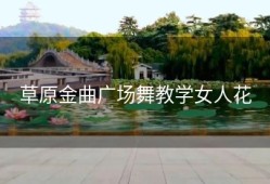 草原金曲广场舞教学女人花