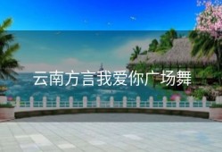 云南方言我爱你广场舞