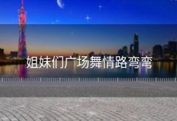 姐妹们广场舞情路弯弯