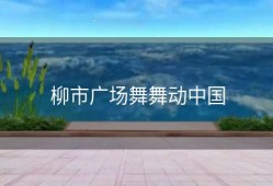 柳市广场舞舞动中国