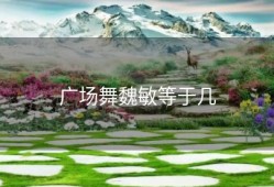广场舞魏敏等于几