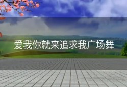 爱我你就来追求我广场舞