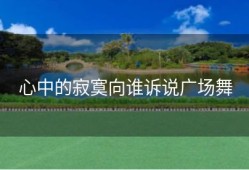 心中的寂寞向谁诉说广场舞