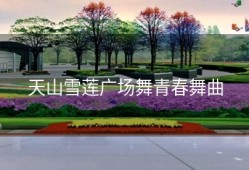 天山雪莲广场舞青春舞曲
