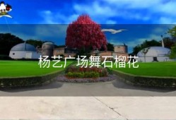 杨艺广场舞石榴花