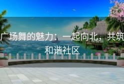 广场舞的魅力：一起向北，共筑和谐社区