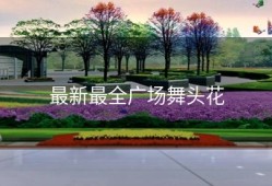 最新最全广场舞头花